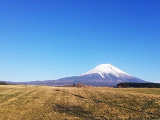 牧場と富士山