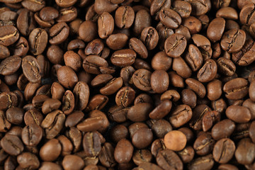 Fresh coffee beans for wholesale