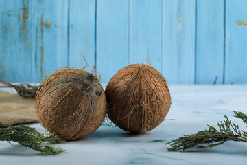 Two brown coconut fruits on the blue
