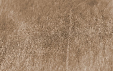 Texture of artificial fur.