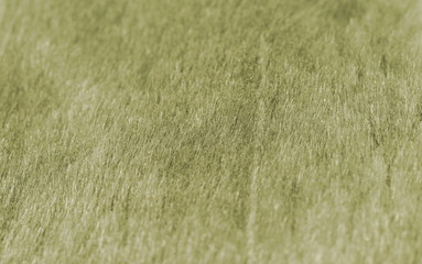 Texture of artificial fur.