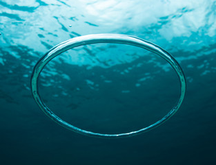 Underwater Bubble Ring