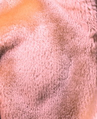 Fototapeta premium Texture of artificial fur.