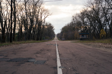 The road in the forest in Pripyat in Chernobyl