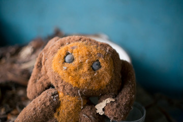 Soft toy doll in an abandoned school in Pripyat in Chernobyl
