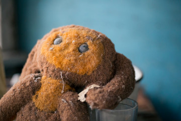 Soft toy doll in an abandoned school in Pripyat in Chernobyl