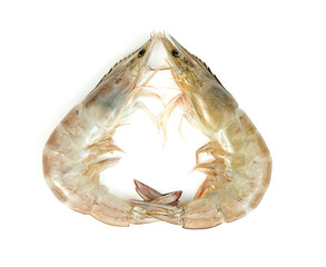 shrimp raw isolated on white background