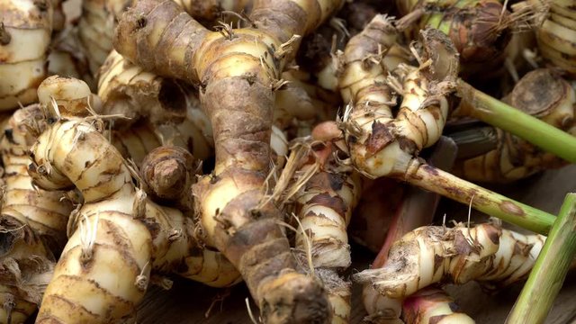 Fresh galangal on wood background ,pan shot