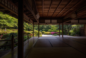 京都府 詩仙堂 サツキ