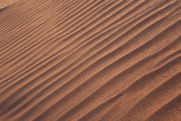 Sand dune texture