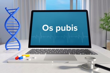 Os pubis – Medizin, Gesundheit. Computer im Büro mit Begriff auf dem Bildschirm. Arzt, Krankheit, Gesundheitswesen - obrazy, fototapety, plakaty