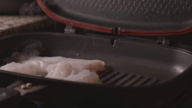 fish slow motion macro 300fps