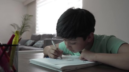 chico haciendo su tarea en casa