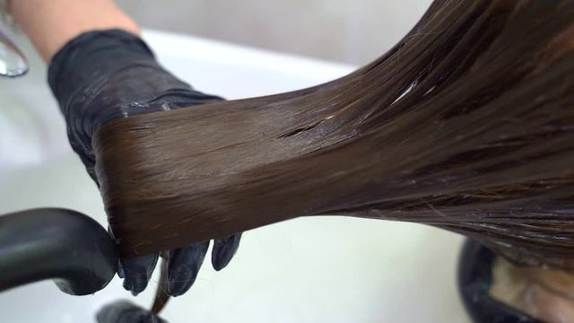 wet hair after shampooing. gray shading.