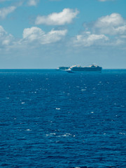 Obraz premium Bimini, Bahamas - March 19, 2020: cruise ships on quarantine at the ocean at sunny weather