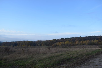 Fototapeta premium view of landscape