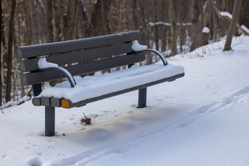 Bench in the park covered by snow