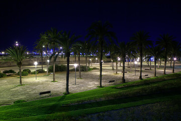 Night view of Parc de la Mar , Palma de Mallorca Spain