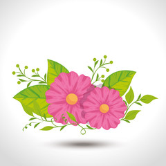cute flowers with leafs nature vector illustration design