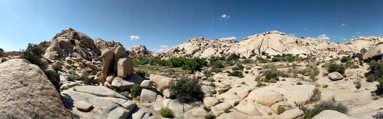 Rock Formations in Joshua Tree 