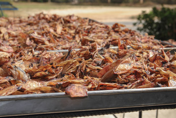 Dried squid is seafood Processing  ,Traditional way to produce dried shrimp by drying under sunlight.