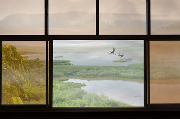 Couple cranes and lake in beautiful window view