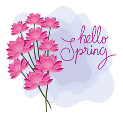 hello spring with flowers decoration vector illustration design