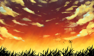 sunset in the forest