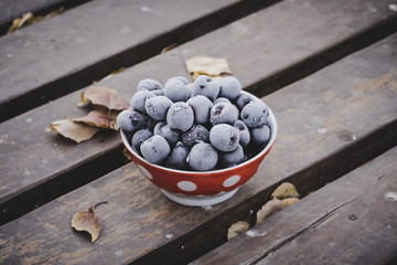 Frozen dark berries in a bowl outdoors, winter fruit background