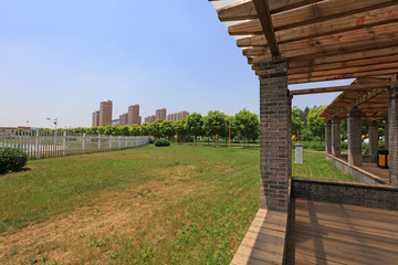 Urban Greening Landscape, China