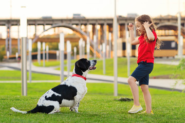 Young girl in red t-shirt with hunting dog walk in green grass on sunny lawn. Faithful friends of human. Funny expressive leisure time. Children walking her dog and playing together. Playful mood