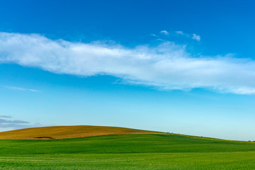 Landscape Tasmania green field and blue sky background