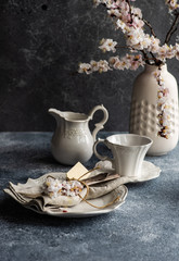 Spring floral concept with apricot blossom