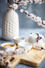 Spring floral concept with apricot blossom
