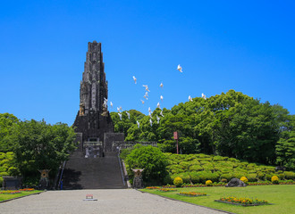 平和台公園 飛び立つ鳩