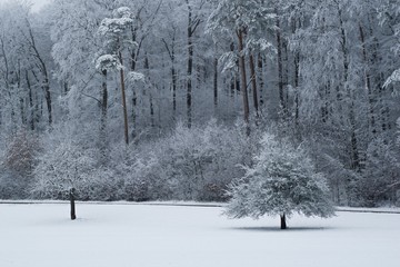 Winterlandschaft