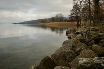 Das Ufer vom Sempachersee