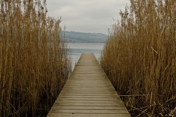 Obraz premium Der Steg zum See