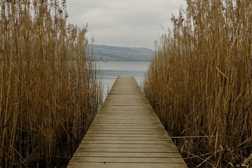 Der Steg zum See