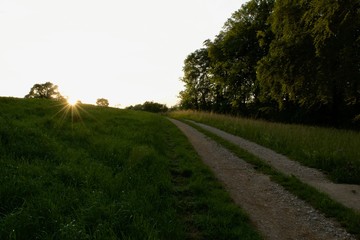 Der Feldweg