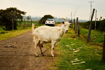 Obraz premium Naturaleza en su mejor expresion