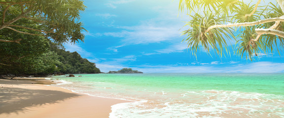 Plakat beach and tropical sea