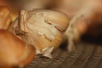 Organic garlic. Macro Photo food garlic bulb