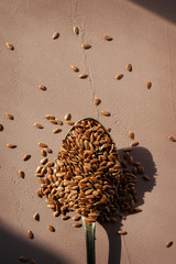Brown flax seeds on spoon