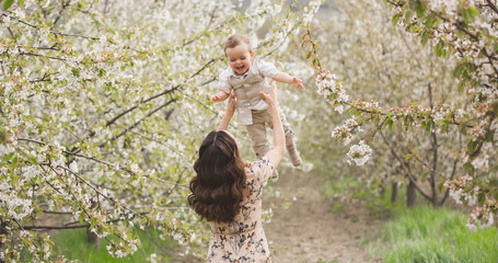 Family for a walk in the blooming cherry garden
