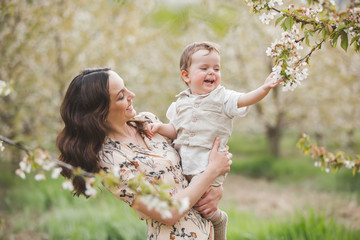 Family for a walk in the blooming cherry garden