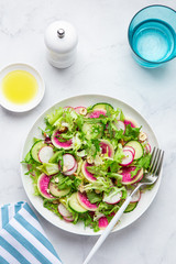Fresh vegan watermelon radish and  cucumber salad on white plate