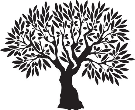 Olive tree