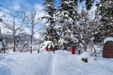 【青森県黒石市】中野もみじ山の雪景色