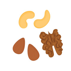 cashew, almond, walnut. Nuts icons vector illustration isolated on white background